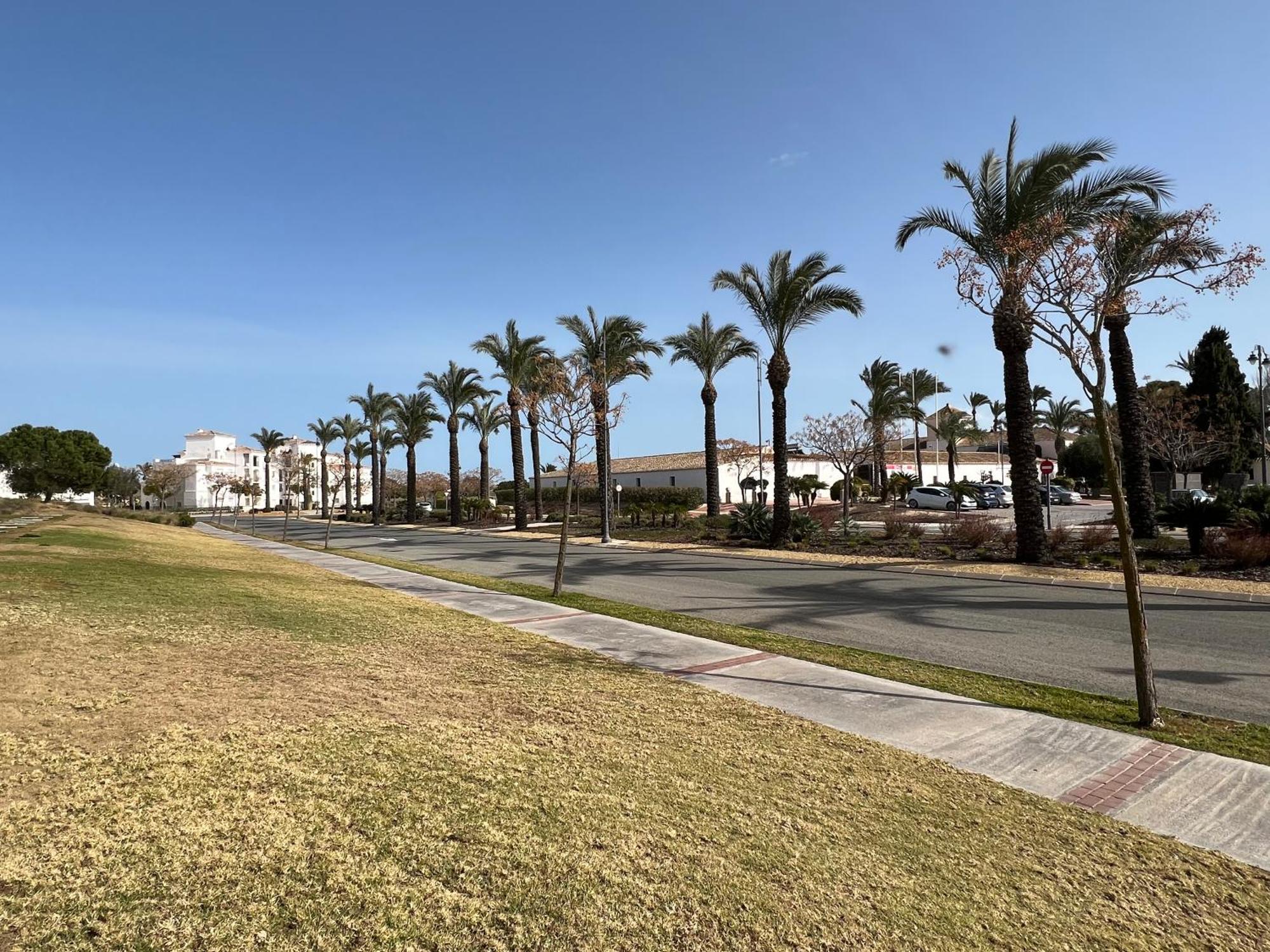Apartment In Hacienda Riquelme Golf Resort سوسينا المظهر الخارجي الصورة